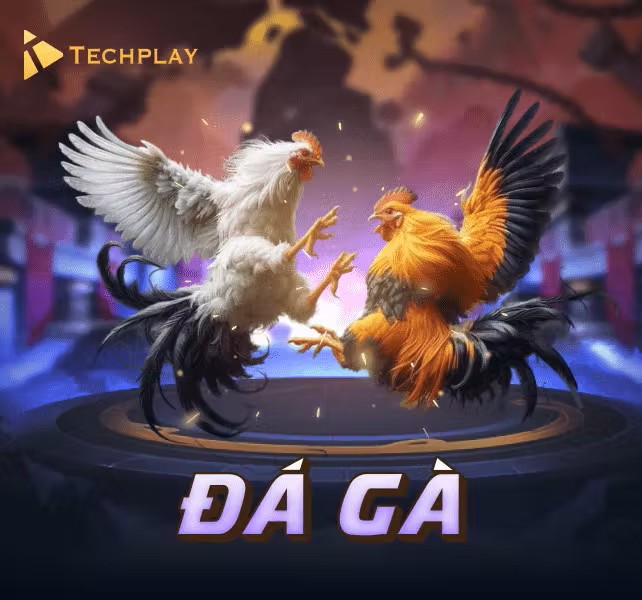 Đá gà techplay
