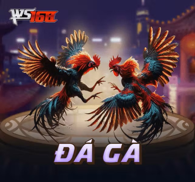 Đá gà ws168